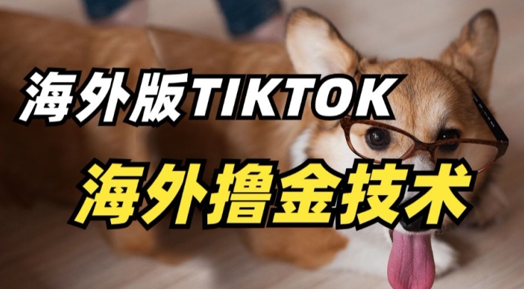 (2024.3.28)抖音海外版tiktok撸金技术，这个风口行业，赚钱真的不难
