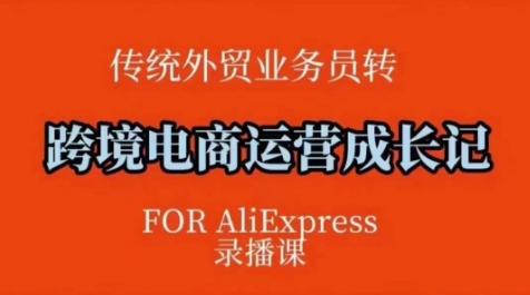 （2.14）跨境电商速卖通运营课，​运营方法论+后台实操，逻辑清晰