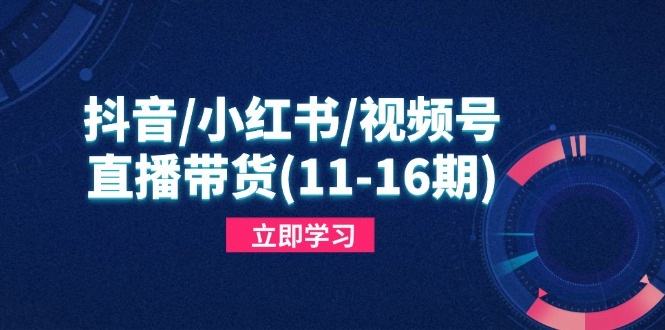 （4.30）抖音/小红书/视频号/直播带货（11-16期），快速掌握平台规则，打造爆款内容