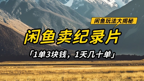 （4.9）闲鱼卖纪录片1单3块钱，1天几十单，项目稳定有潜力
