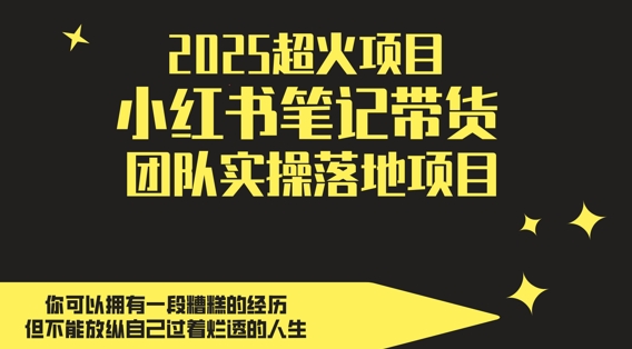 （5.12）2025超火项目，副业最佳选择，小红书笔记带货团队实操落地项目，，轻松日入5张