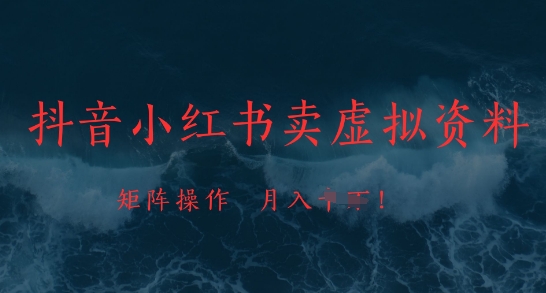 （5.8）抖音小红书卖虚拟资料，市场需求一直存在，矩阵操作，月入1w+