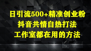 （5.2）日引流500+精准创业粉，抖音共情自热打法，工作室都在用的方法