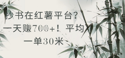 （5.22）抄书在小红薯平台？平均一单30米，一天收益几张！