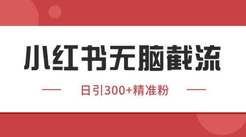 （5.18）小红书只要你有同行就能获客，独家野路子获客玩法，暴力截流