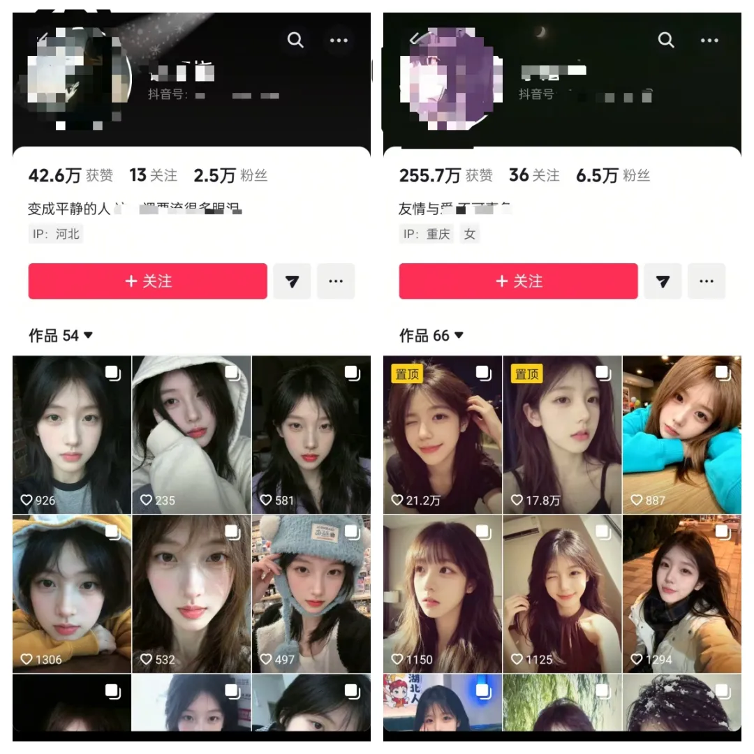 （11.19）丨项目丨①免费薅顶级AI视频工具！；②小红书电商从0到类目第一；③抖音美女图文涨粉玩法